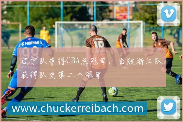 辽宁队夺得CBA总冠军，击败浙江队获得队史第二个冠军